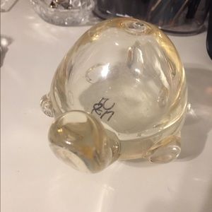 turtle glass thing